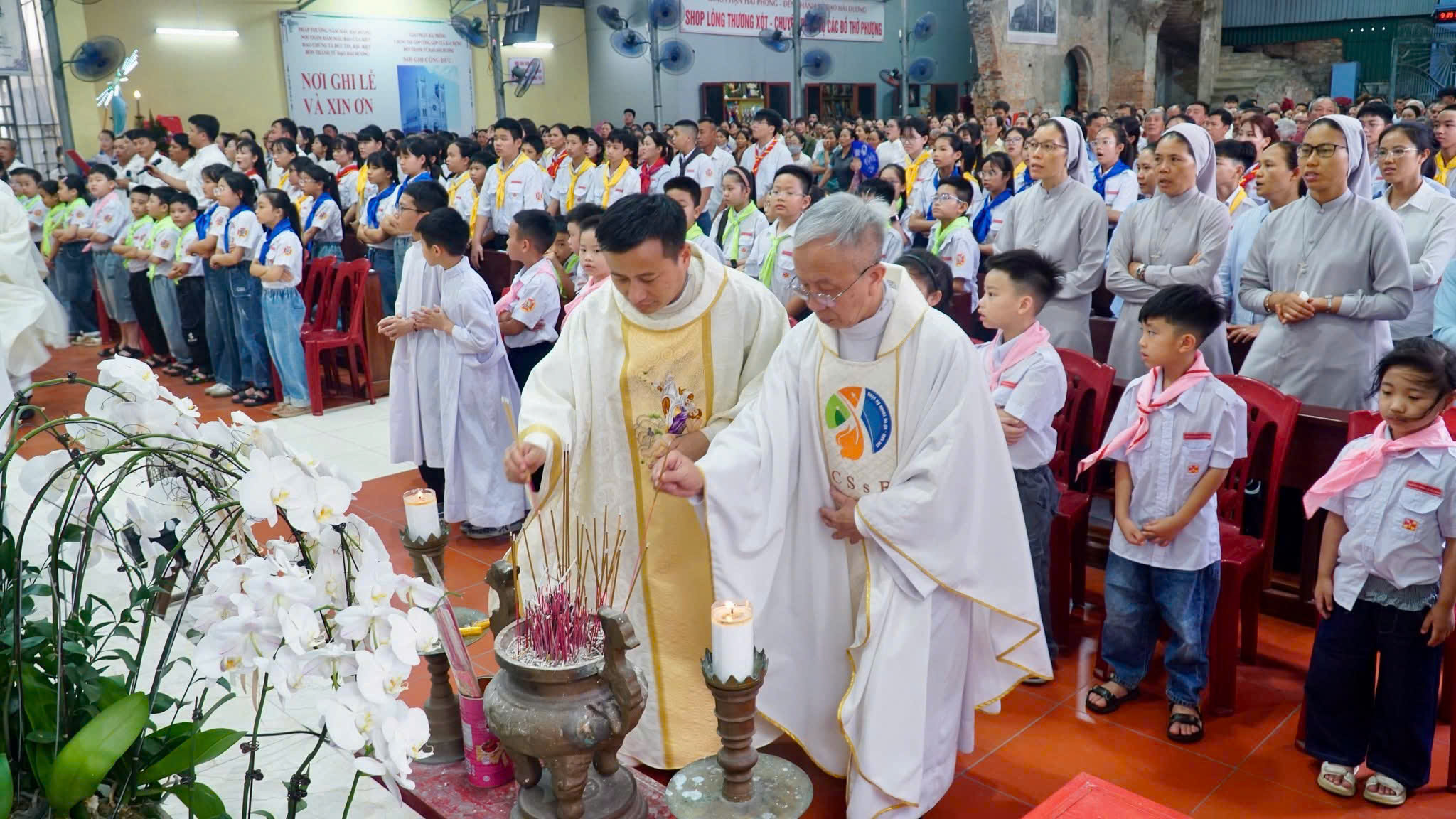 Photo-6